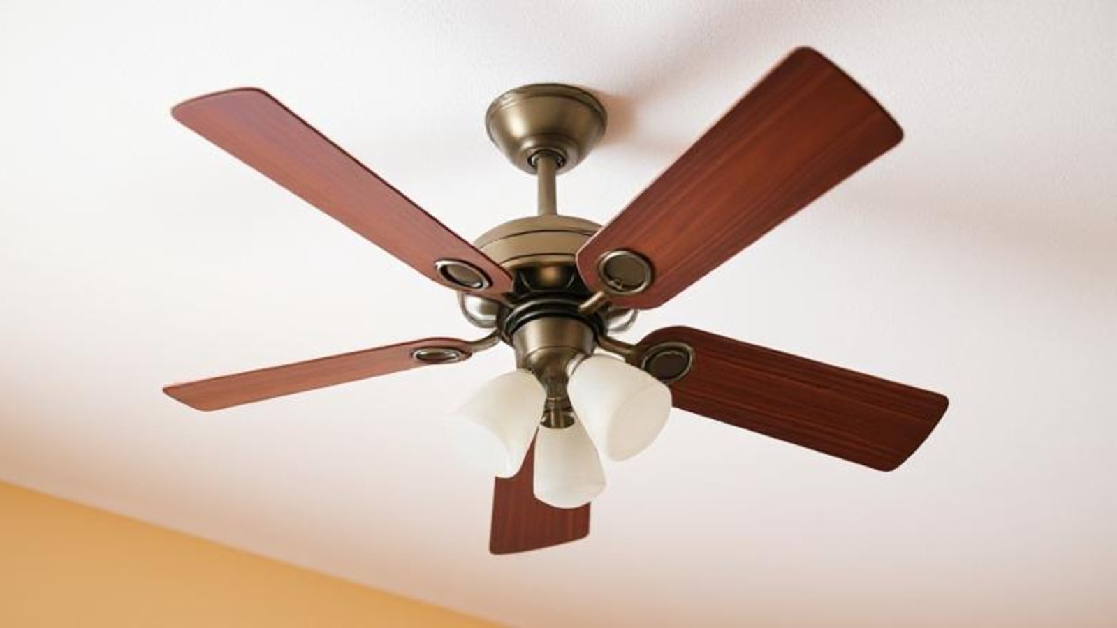 Top 10 Fan Companies in India