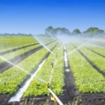 top 10 drip irrigation companies in India