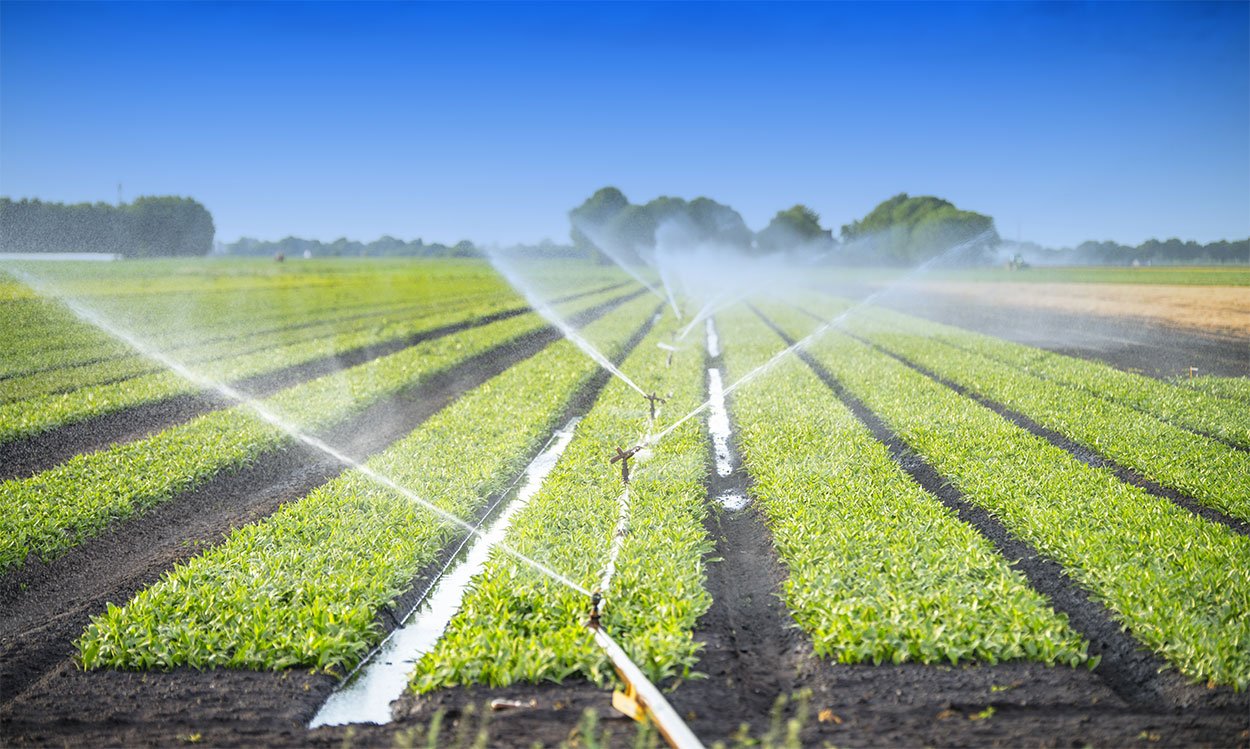 top 10 drip irrigation companies in India