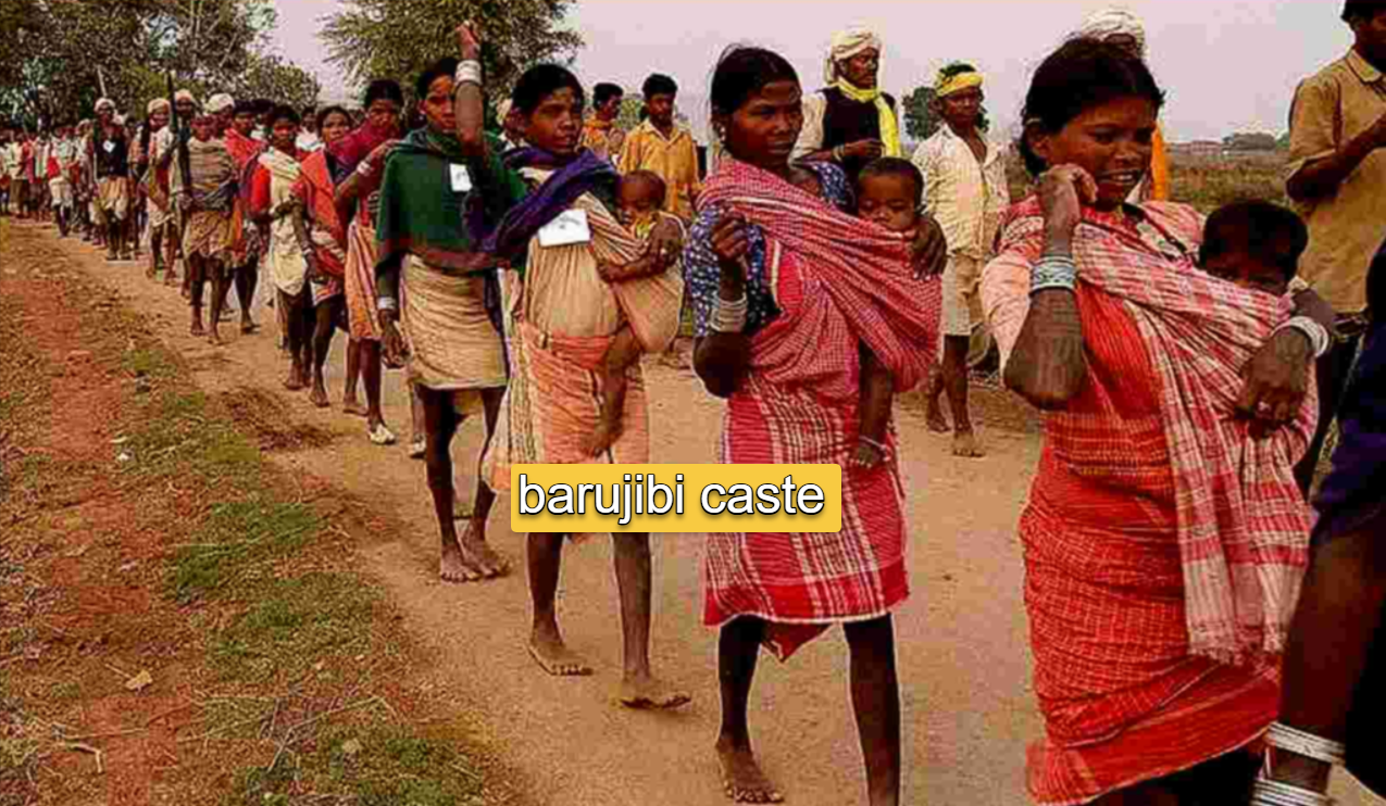 What is the Barujibi caste and What culture does it follow