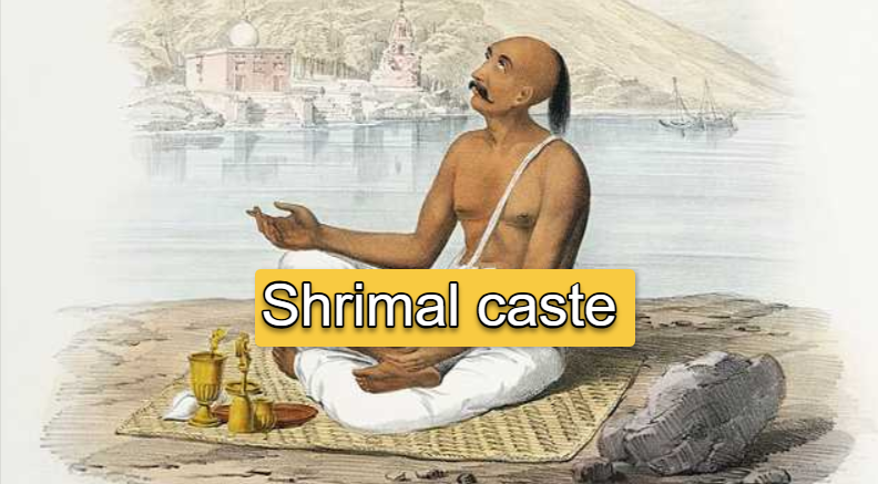 Shrimal Caste Community Details, Samaj And Culture