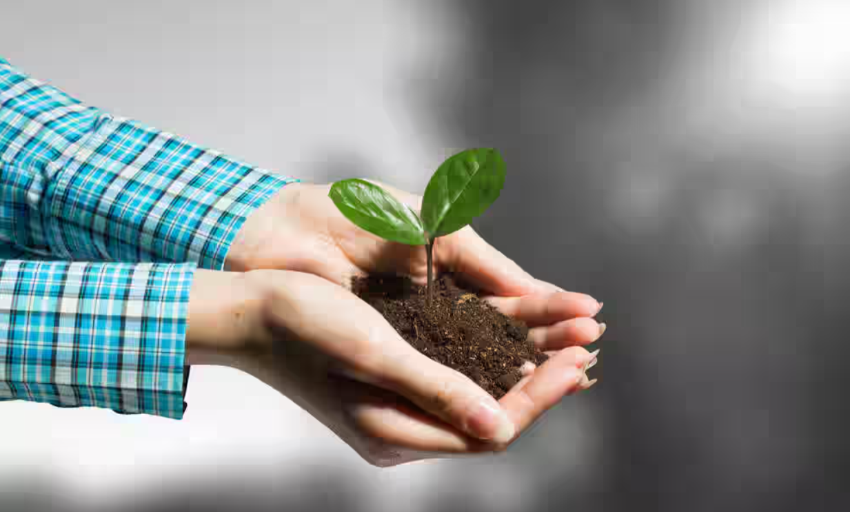 Explore Top 5 Micronutrient Companies in India