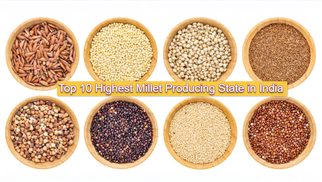 Top 10 Highest Millet Producing State in India
