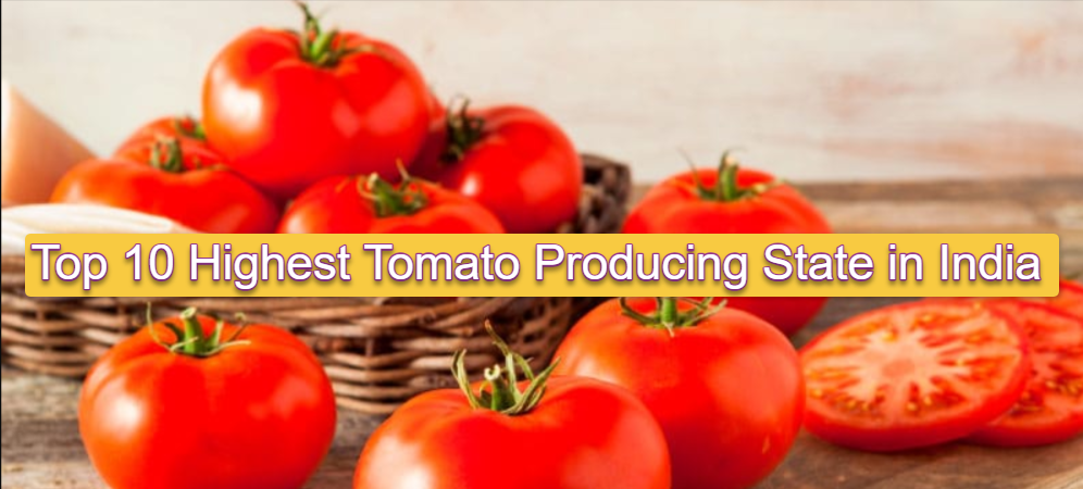 Top 10 Highest tomato producing state in India