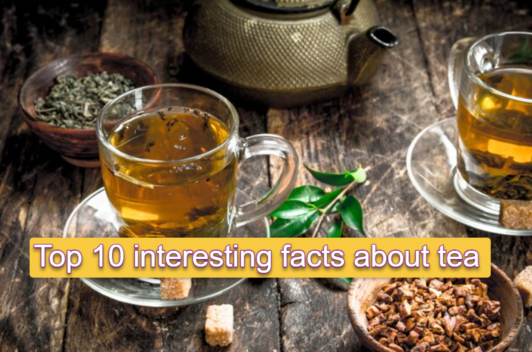 Top 10 Interesting Facts About Tea You Never Knew