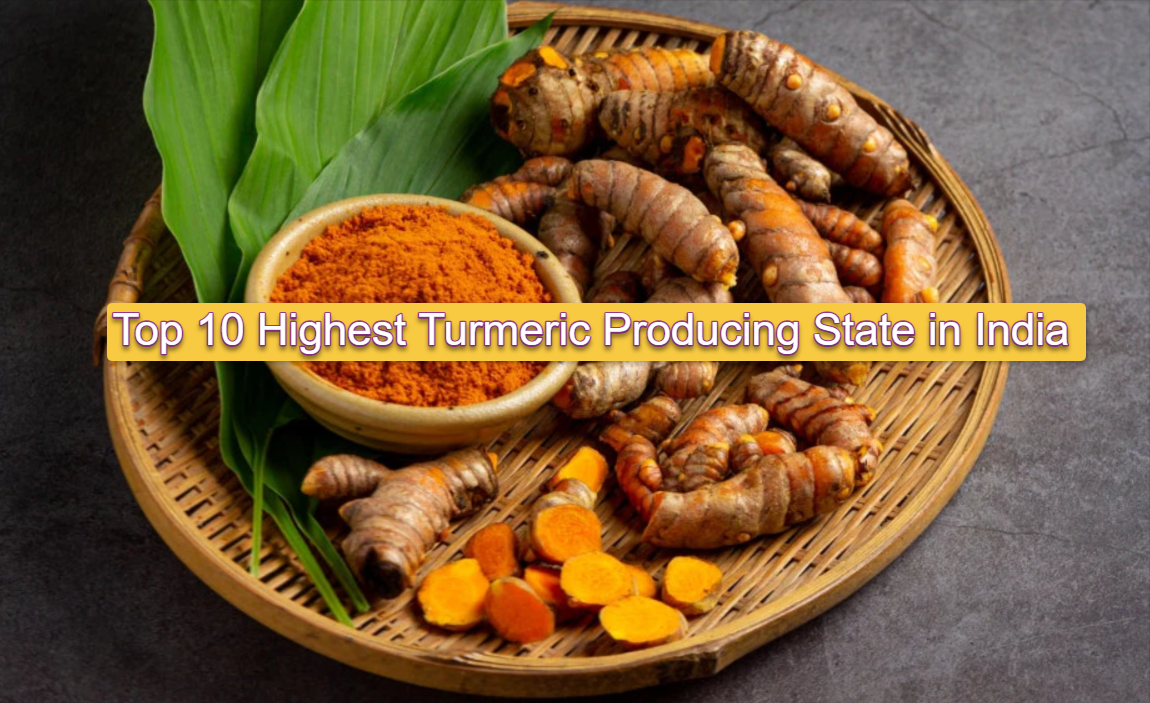 Discover the Top 10 Highest Turmeric Producing State in India